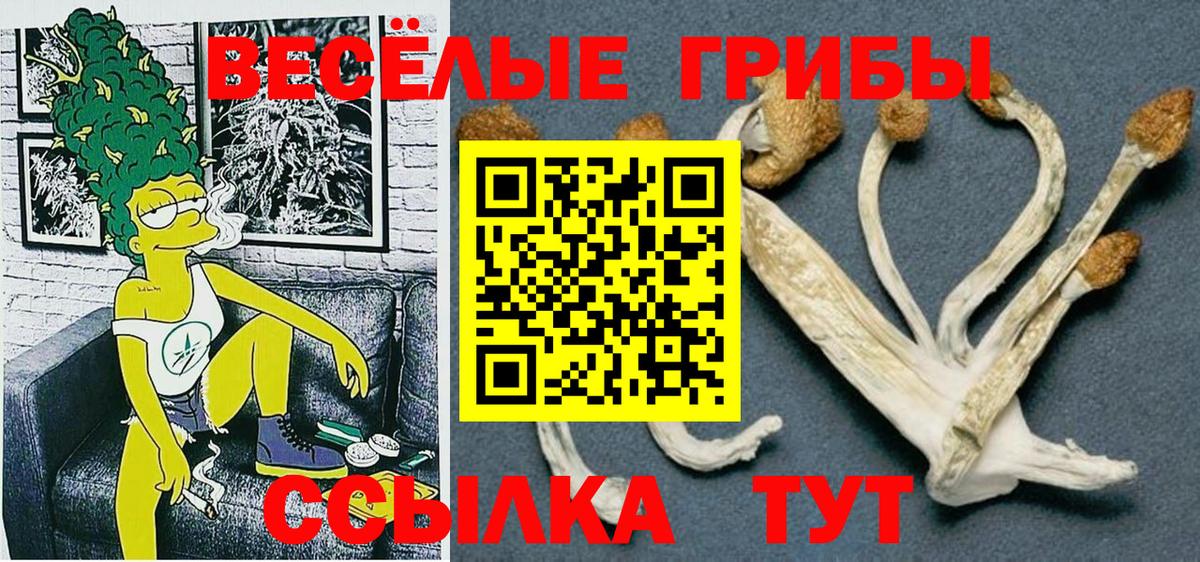 Галлюциногенные грибы GOLDEN TEACHER Гай