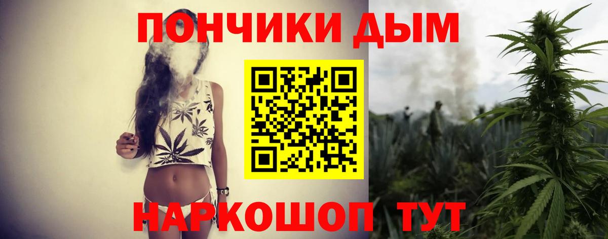 Бошки марихуана THC 21% Гай